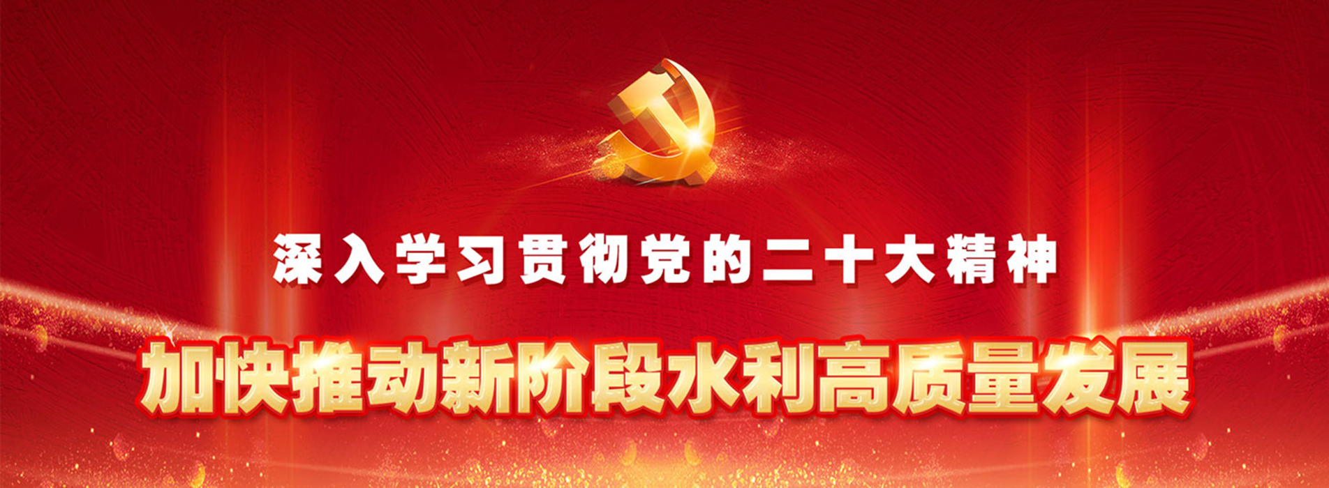 深入貫徹落實黨的二十大精神 扎實推動新階段水利高質量發展